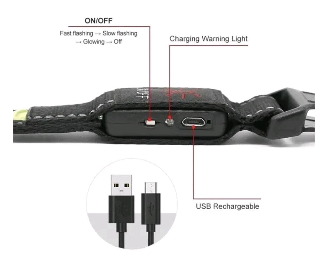 LED Dog Collars