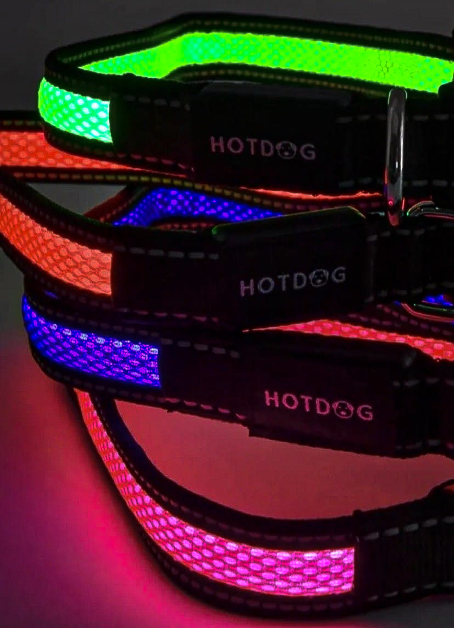 LED Dog Collar & Lead Set