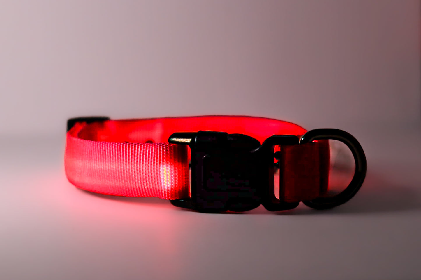 Pink LED Dog Collars