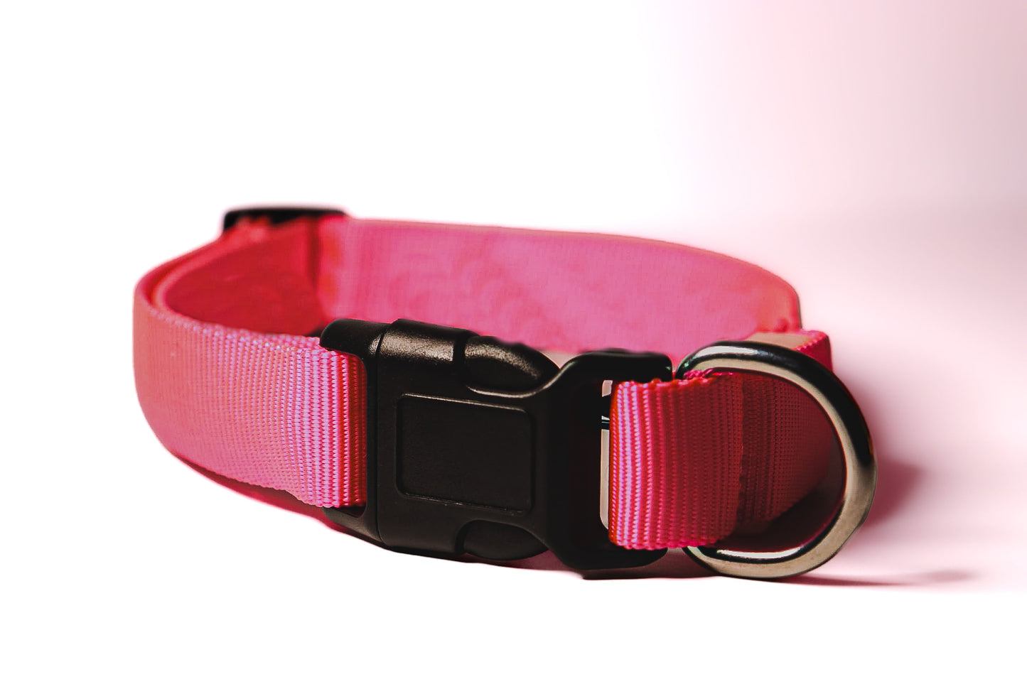 Pink LED Dog Collars