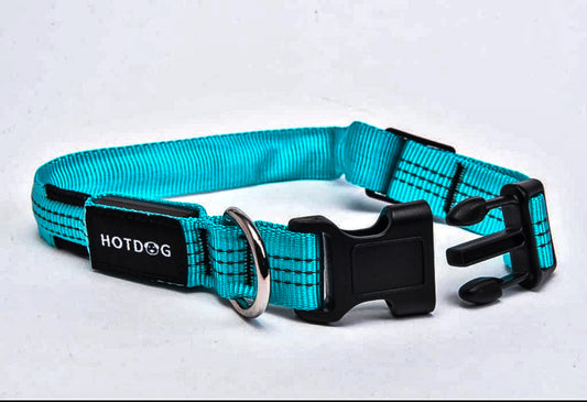 LED Dog Collars
