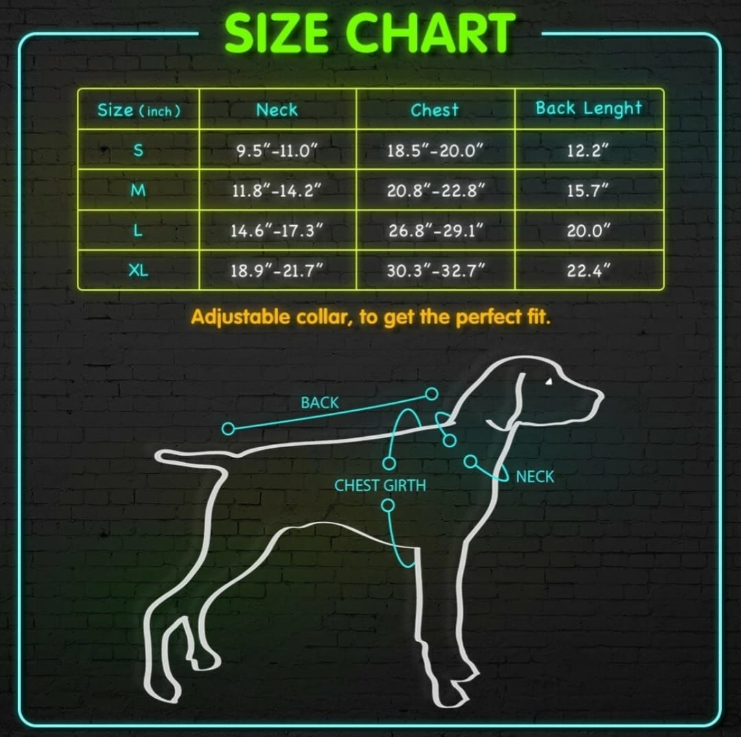 LED Dog Coats