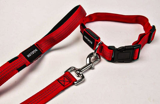 LED Dog Collar & Lead Set