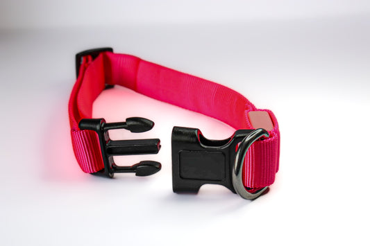 Pink LED Dog Collars